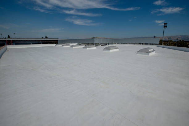 Professional Roofing Services in Pine Manor, FL