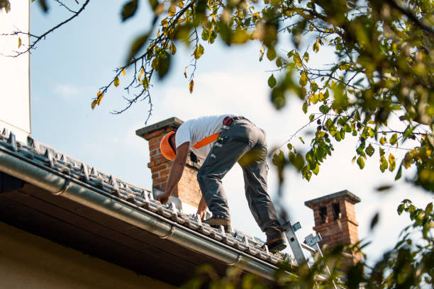 Fast & Reliable Emergency Roof Repairs in Pine Manor, FL